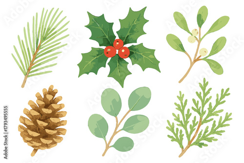 Nature silhouette icon set. featuring pinecone, holly, mistletoe, juniper, spruce, and eucalyptus