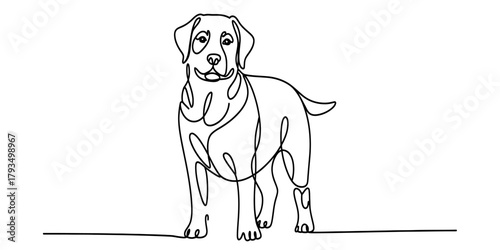 Continuous line art drawing of a friendly labrador retriever dog standing, a minimalist pet animal illustration for various design projects. Vector