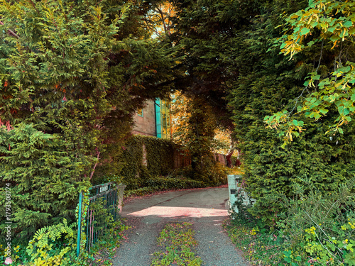 A path leads through an archway formed by lush greenery. Sunlight filters through the leaves, creating a warm and inviting atmosphere in Clayton, Bradford, UK