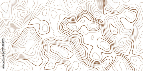 Topographic map background. Geographic line map with elevation assignments.Topographic map ,abstract height lines on white background ,vector.