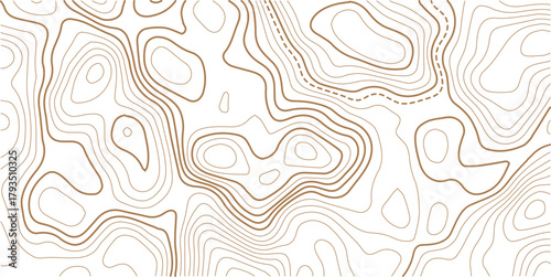 Topographic gold luxury map background. Geographic abstract pattern. The topo contour or wallpaper. The concept of a conditional geography scheme and contour line map image.