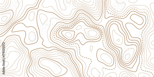 Abstract topo contour map on white background, Topographic map Topographic contour lines map seamless pattern.Vintage outdoors style wallpaper. 