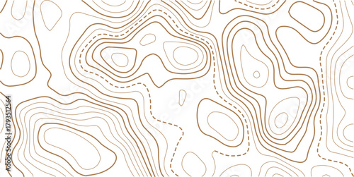 Abstract topo contour map on white background, Topographic map Topographic contour lines map seamless pattern.Vintage outdoors style wallpaper. 