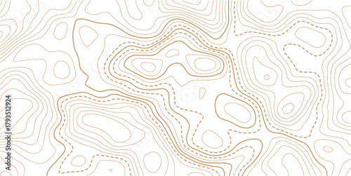 Abstract Topographic Pattern contour line map. Luxury gold abstract line art on transparent background image. .The concept of a conditional geography scheme and the terrain path. Design materials. 