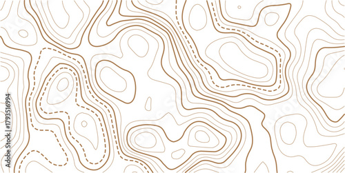 Topographic Contour Art in the Style of Classic Surveyor Maps with Rustic Linework, and a Strong Connection to Natural Geography.beautiful white and black contour topo wavy patten.