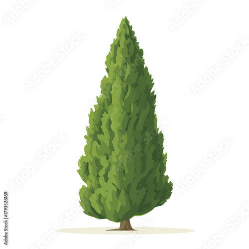 Modern flat 2D vector illustration of a Cypress Tree, minimal design style on a white background.