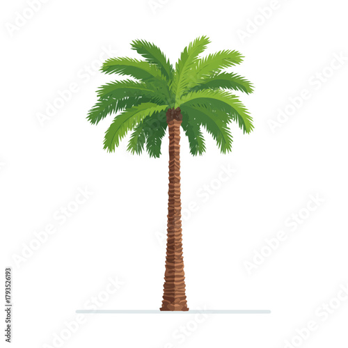 A simple and modern flat 2D vector of a Date Palm Tree, isolated on a pure white background.