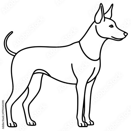 Line art illustration, simple and elegant, a dog in profile, white background