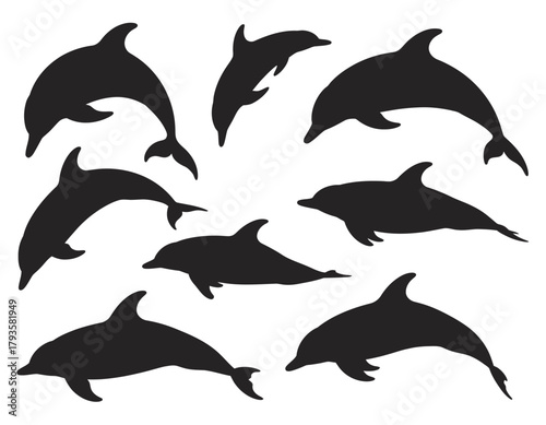 A versatile collection of nine dynamic dolphin silhouettes, Perfect for logo design, Branding Projects, Graphic Design Elements, Marine Wildlife Illustration, Ocean-Themed Art, Minimalist Vector Shape