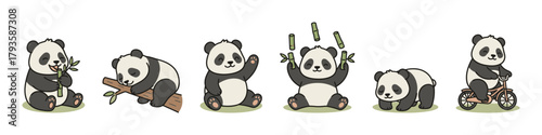 Cute pandas in different poses