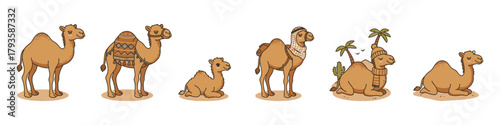 Cartoon camel set