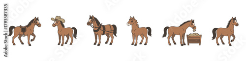 Horses in different poses