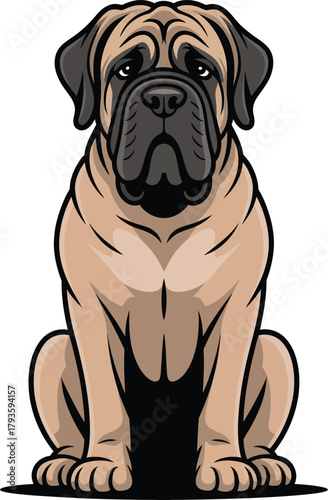  Cute cartoon a illustrator vector English mastiff