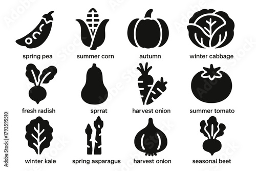 Seasonal Vegetable Icons. Solid style icons of Seasonal vegetables: spring peas, summer corn, autumn pumpkin, winter cabbage,