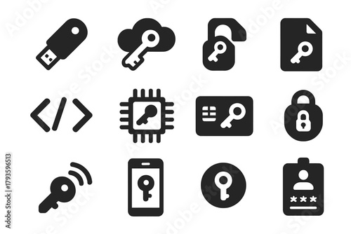 Digital Security Icons. Solid style icons of Digital keys: USB key, cloud key, encryption key, software license key, API key,