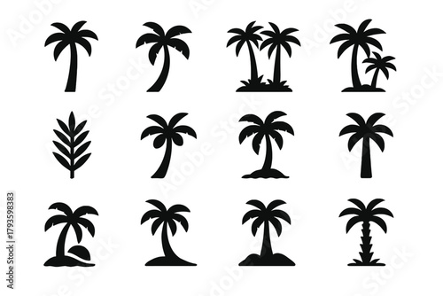 Palm Tree Icons. Solid style icons of Palm Trees: tall palm tree, leaning palm, clustered palms, palm frond, coconuts on palm,