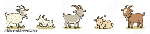 Cartoon goat set