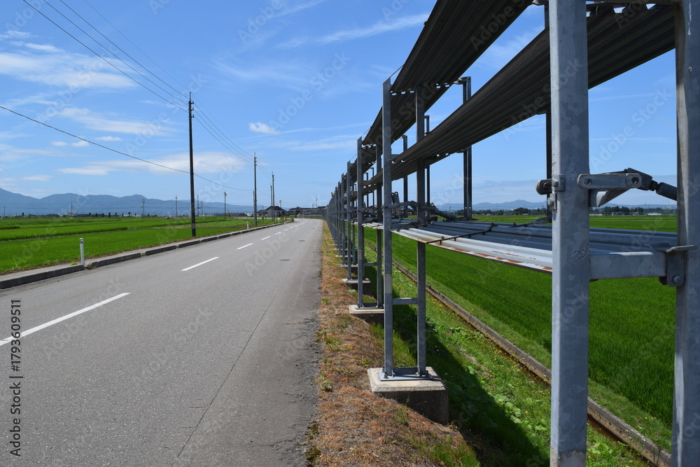 Naklejka premium 農道と田園風景 山形県庄内