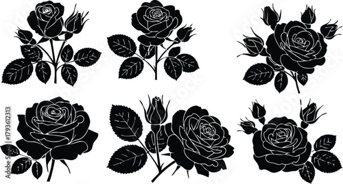 Rose flower silhouette set with leaves and buds natural floral vector illustrations for design and decoration 