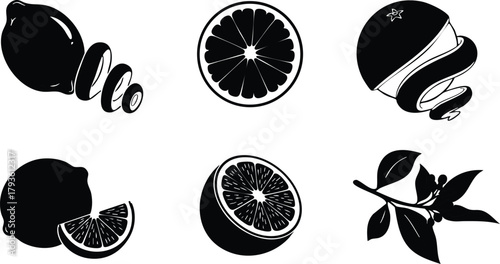 Black and white citrus fruit vector icons including lemon orange and leaves in simple silhouette style 