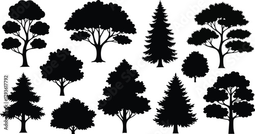 Various Tree Silhouettes Vector Illustration with Different Tree Shapes and Sizes in Black Vector, Illustration 