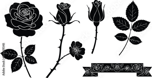 Rose flower vector set with leaves and decorative ribbon design in black silhouette style for floral graphic resources 