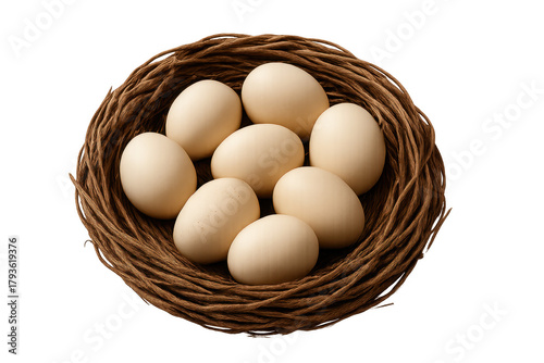 Wallpaper Mural Many brown eggs resting in bird nest on transparent background Torontodigital.ca