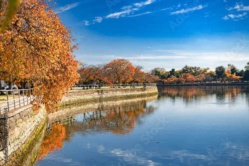 Bright fall day in a public park with pond and vibrant foliage