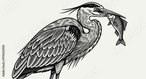 A heron caught a fish. Template for business or t-shirt design. Vector. EPS version.