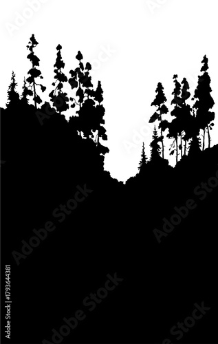 Vector landscape. A dirt road in the forest