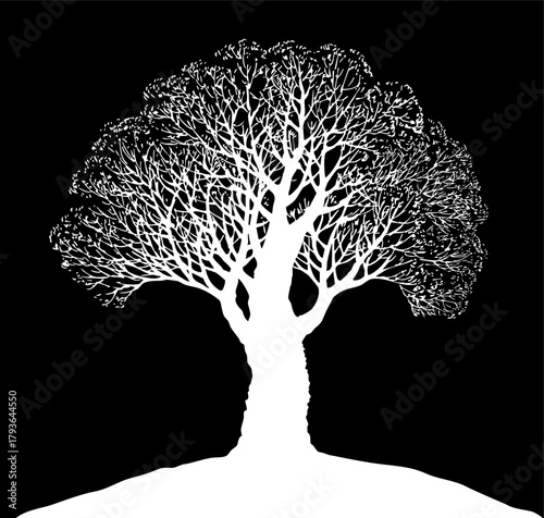 Vector drawing. Old oak tree