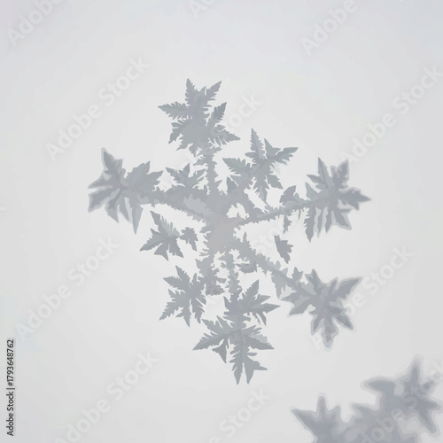 Frost Crystals Forming Delicate Patterns on Window Glass

