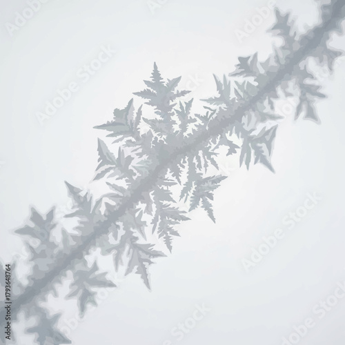 Frost Crystals Forming Delicate Patterns on Window Glass

