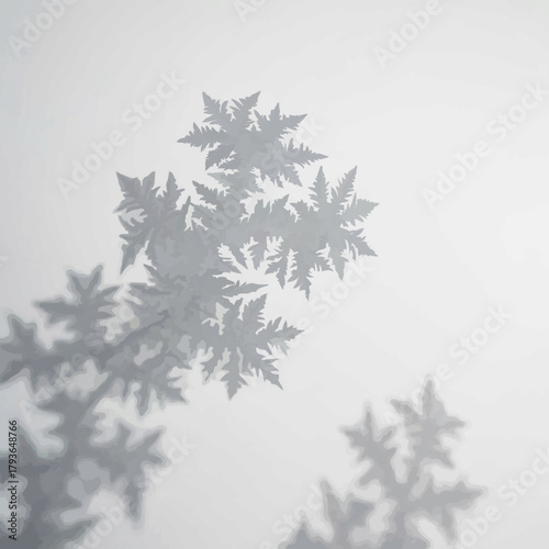 Frost Crystals Forming Delicate Patterns on Window Glass

