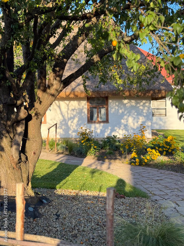 Idyllic rural environment featuring cozy dwelling amidst peaceful natural scenery and sunlight