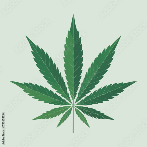 Cannabis logo - 2D vector illustration of green cannabis sativa leaf for mmj and adult use marijuana dispensary