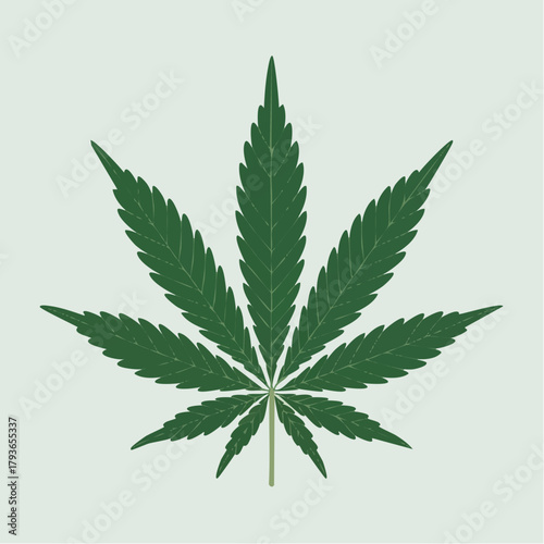 Cannabis logo - 2D vector illustration of green cannabis sativa leaf for mmj and adult use marijuana dispensary