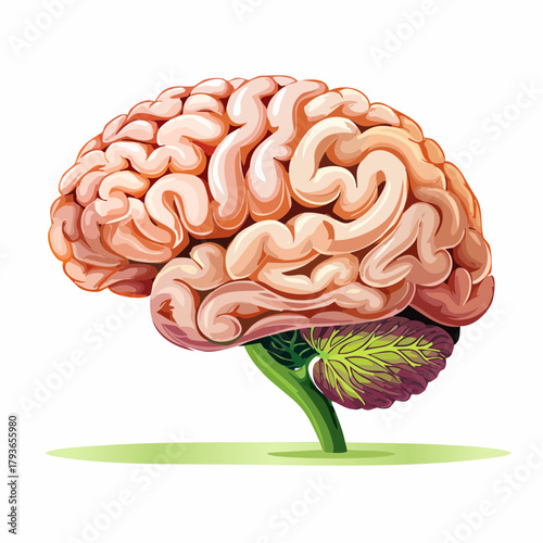 Healthy brain concept isolated on solid background - 2d vector illustration