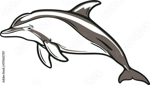 Graceful dolphin illustration in leaping swim pose over white background