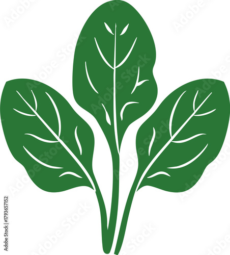 Fresh spinach leaf bunch icon representing healthy green vegetable food