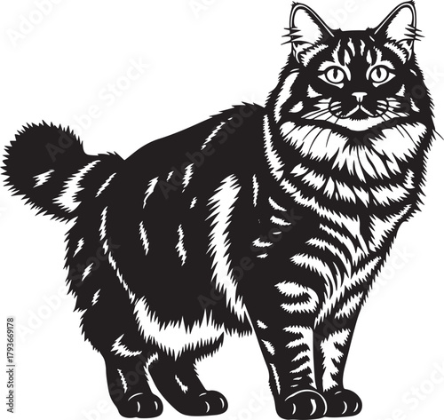 Black and white vector illustration of a majestic long-haired domestic cat standing, showcasing detailed fur, striped markings, and expressive eyes, ideal for pet graphics.