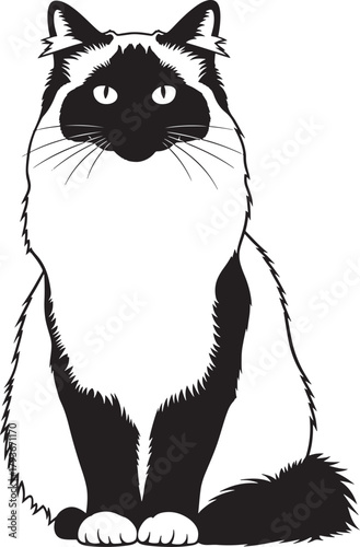 A domestic cat sitting frontally, a black and white vector outline illustration showcasing its distinctive long fur and colorpoint features, ideal for pet-related designs and animal themes.