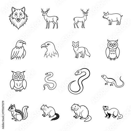 Collection of diverse animal illustrations featuring wildlife and domestic animals
