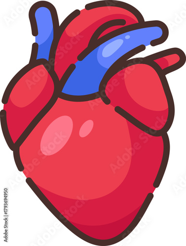 Detailed cartoon-style heart illustration with arteries and veins, representing cardiovascular system, blood circulation, and medical anatomy