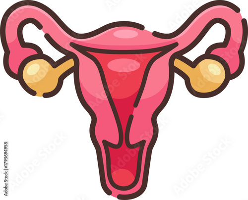 Female reproductive system illustration showing uterus, fallopian tubes, and ovaries, representing gynecology, fertility, and anatomy education