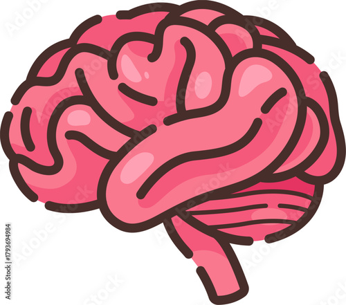 Vector illustration of a human brain showing folds and structure, representing intelligence, thinking, and the central nervous system in medical and educational contexts