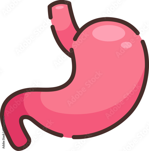 Illustration of human stomach in pink color, symbolizing digestion, gastrointestinal health, and biology or anatomy learning