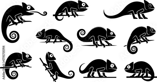 Chameleon silhouettes, Chameleon vector illustration, Chameleon, Chameleon animal icon, Chameleon silhouette set