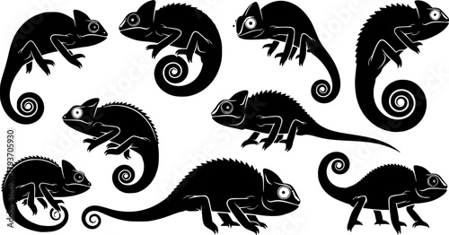 Chameleon silhouettes, Chameleon vector illustration, Chameleon, Chameleon animal icon, Chameleon silhouette set