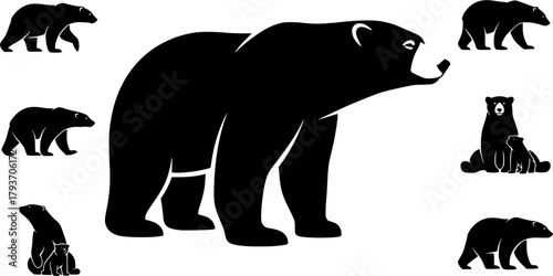 Polar bear silhouettes, Polar bear, Polar bear vector illustration, Polar bear vector, Bear silhouettes, Polar bear clipart set